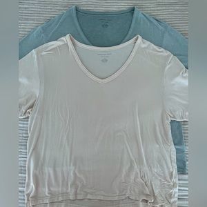 American Eagle soft and sexy v-neck tees